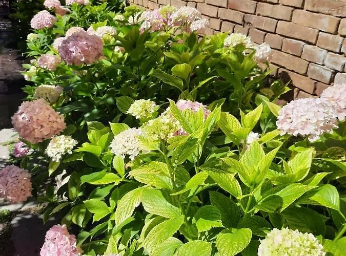 Il Giardino Nascosto Bed & Breakfast