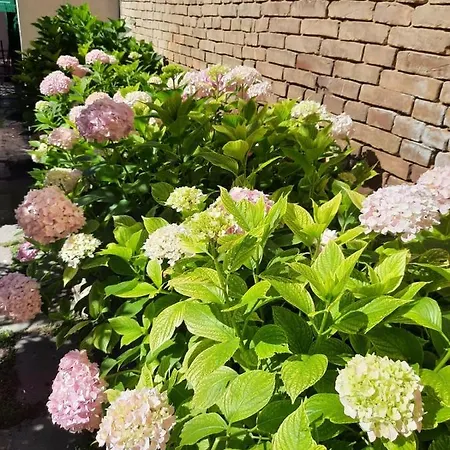 Il Giardino Nascosto Panzió